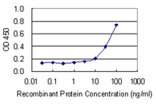 NHLH1 Antibody in ELISA (ELISA)