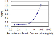 NOS2 Antibody in ELISA (ELISA)