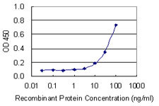 NOS3 Antibody in ELISA (ELISA)