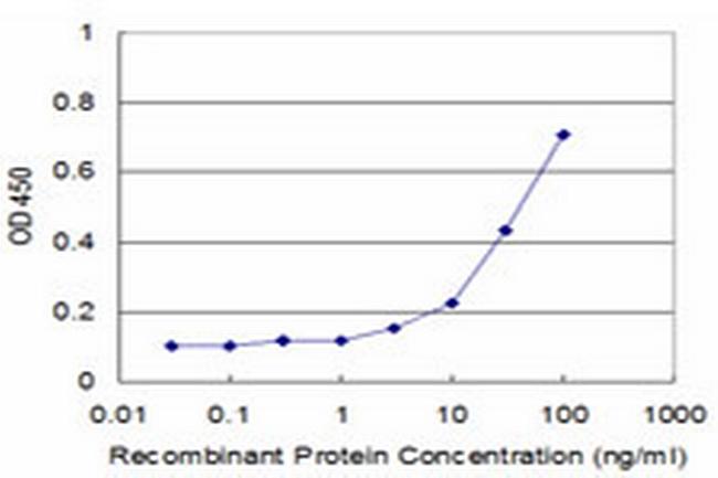 CNOT2 Antibody in ELISA (ELISA)