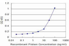 NOV Antibody in ELISA (ELISA)