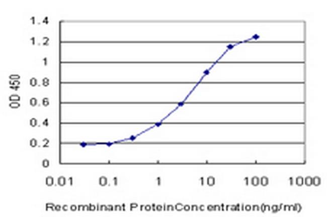 NPY1R Antibody in ELISA (ELISA)