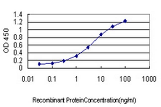 NRAS Antibody in ELISA (ELISA)