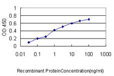 NUMA1 Antibody in ELISA (ELISA)