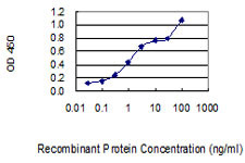 NR4A2 Antibody in ELISA (ELISA)