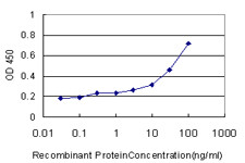 OLR1 Antibody in ELISA (ELISA)