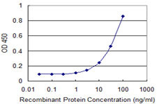 OPA1 Antibody in ELISA (ELISA)