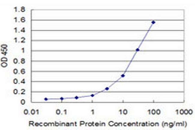 PAEP Antibody in ELISA (ELISA)