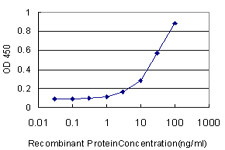 PRDX1 Antibody in ELISA (ELISA)