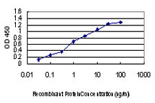 PAK1 Antibody in ELISA (ELISA)