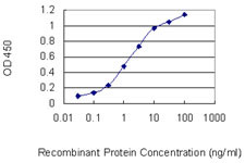 PAX2 Antibody in ELISA (ELISA)