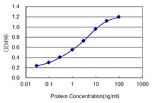 PAX2 Antibody in ELISA (ELISA)