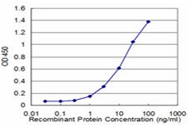 PCK1 Antibody in ELISA (ELISA)