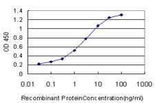 PCNA Antibody in ELISA (ELISA)