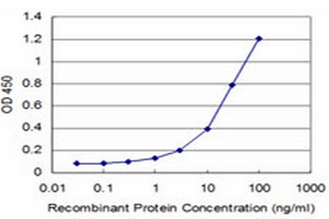 PCNA Antibody in ELISA (ELISA)