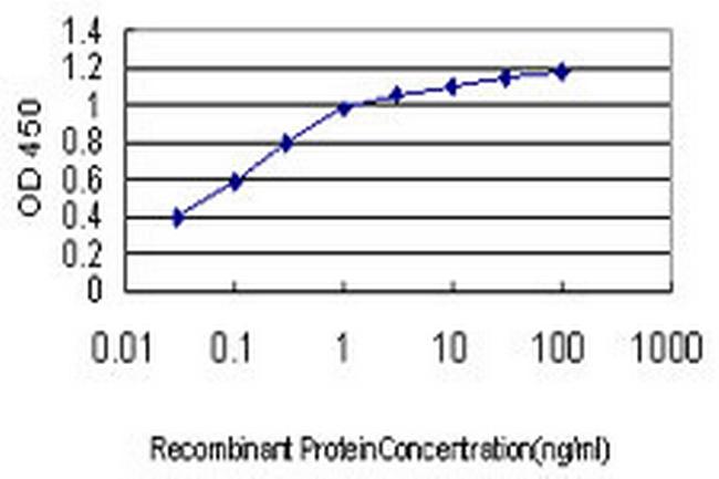 PDE1B Antibody in ELISA (ELISA)