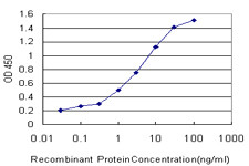 PDK2 Antibody in ELISA (ELISA)