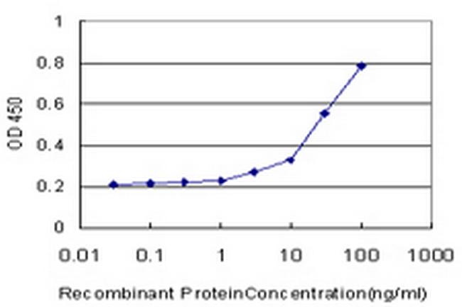 PHKG2 Antibody in ELISA (ELISA)