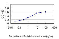 PIM1 Antibody in ELISA (ELISA)