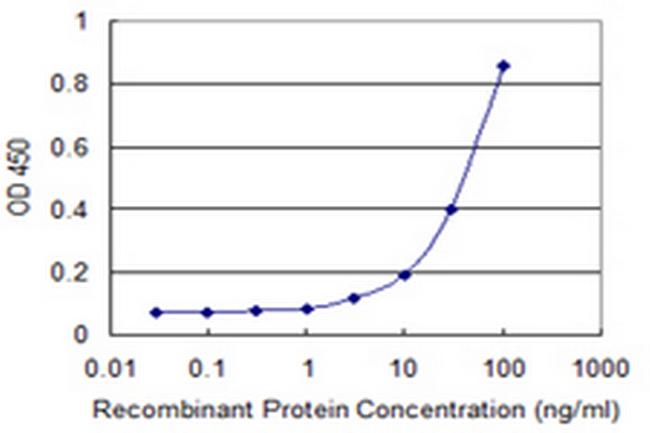 PIM1 Antibody in ELISA (ELISA)