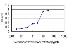 PIN1 Antibody in ELISA (ELISA)