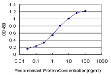 PITX1 Antibody in ELISA (ELISA)