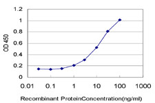 PLA2G1B Antibody in ELISA (ELISA)