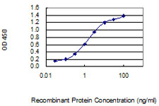 PLP2 Antibody in ELISA (ELISA)