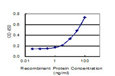 PLTP Antibody in ELISA (ELISA)