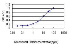 PML Antibody in ELISA (ELISA)