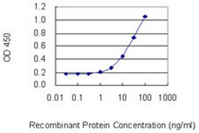 POLRMT Antibody in ELISA (ELISA)