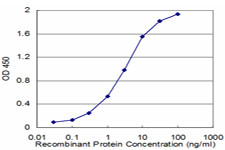 PON1 Antibody in ELISA (ELISA)