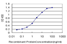 PPARD Antibody in ELISA (ELISA)