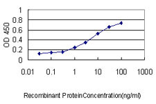 PPIA Antibody in ELISA (ELISA)