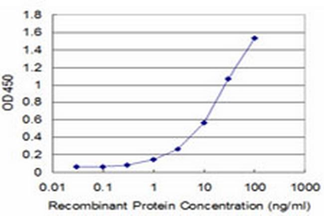 PPOX Antibody in ELISA (ELISA)