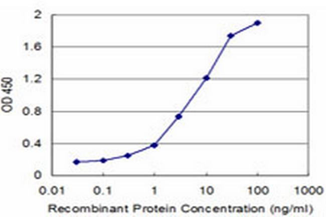 PPOX Antibody in ELISA (ELISA)