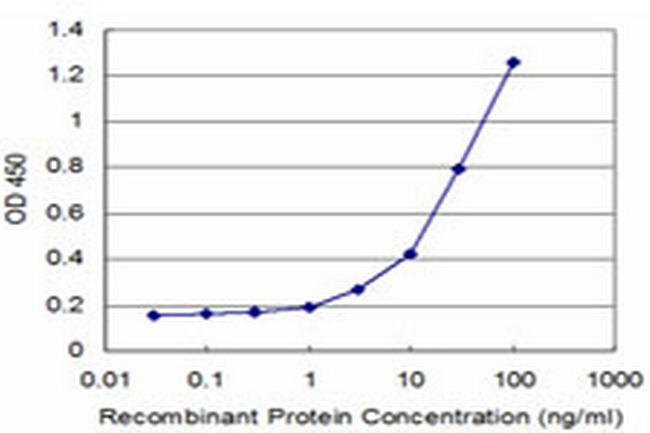 PPOX Antibody in ELISA (ELISA)