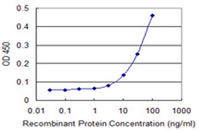 PRM1 Antibody in ELISA (ELISA)