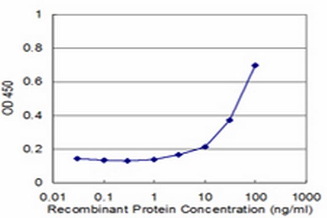 PSMA1 Antibody in ELISA (ELISA)