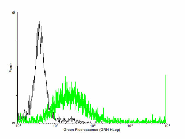 PTGDR Antibody in Flow Cytometry (Flow)