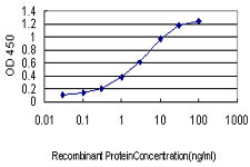 PTK2 Antibody in ELISA (ELISA)