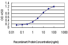 PTK2 Antibody in ELISA (ELISA)