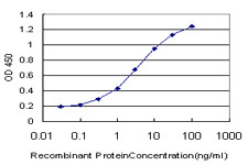 PTK9 Antibody in ELISA (ELISA)