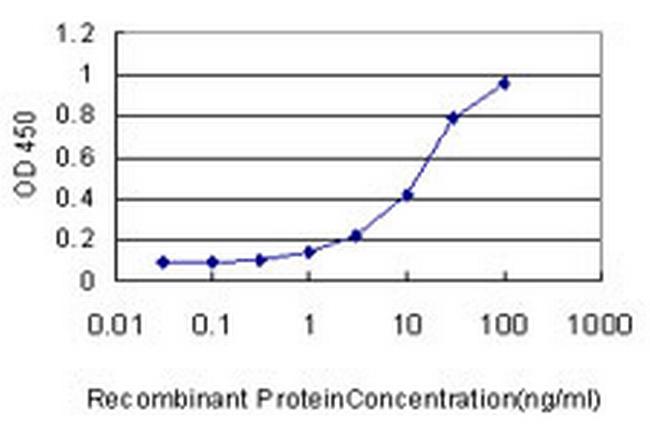 RAP1GA1 Antibody in ELISA (ELISA)