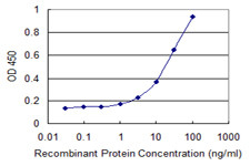 RARRES2 Antibody in ELISA (ELISA)