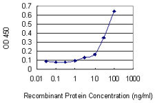 RASA1 Antibody in ELISA (ELISA)