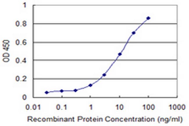 RBL2 Antibody in ELISA (ELISA)