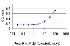 RBP4 Antibody in ELISA (ELISA)