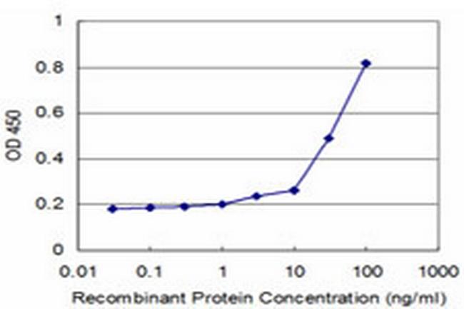 RBP4 Antibody in ELISA (ELISA)