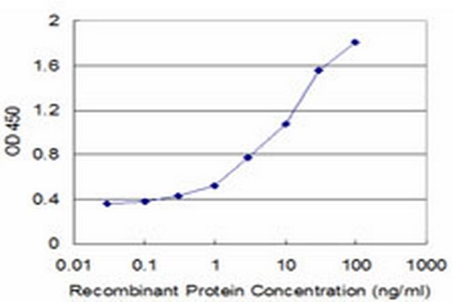 RBP4 Antibody in ELISA (ELISA)